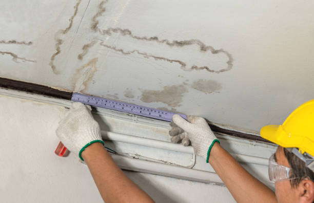 Reliable Water Damage contractor in London, OH by Water Damage Irwin